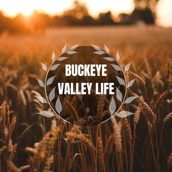 buckeyevalley